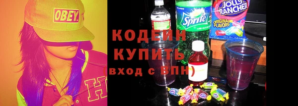 дмт Пересвет
