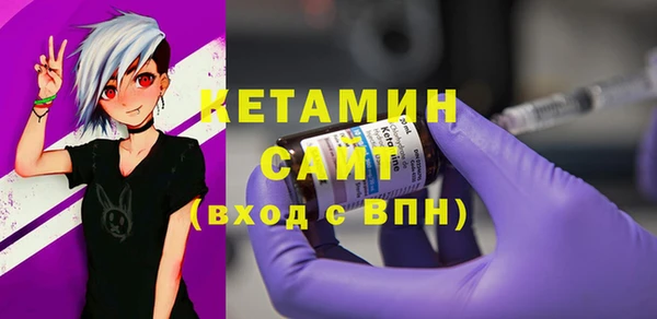 дмт Пересвет