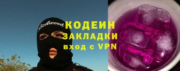 дмт Пересвет