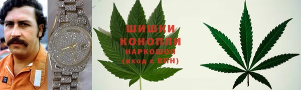 дмт Пересвет