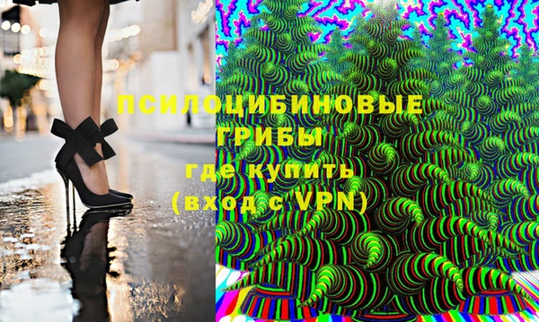 винт Вяземский