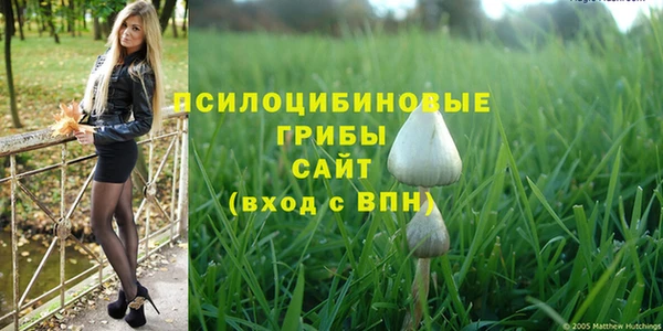 дмт Пересвет