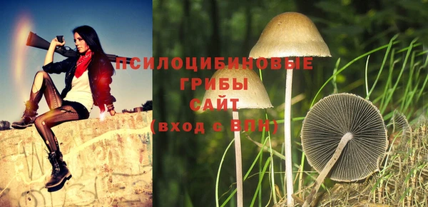 синтетический гашиш Пестово