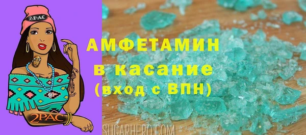 дмт Пересвет