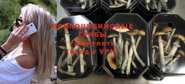 дмт Пересвет