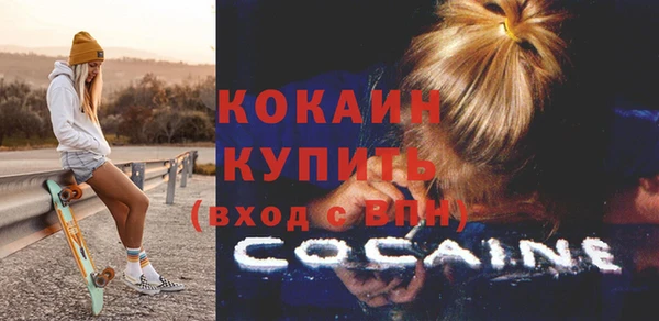 дмт Пересвет