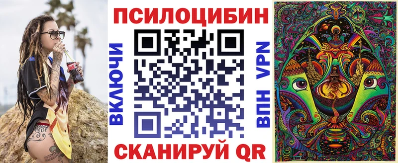 что такое Сергач Псилоцибиновые грибы Psilocybine cubensis